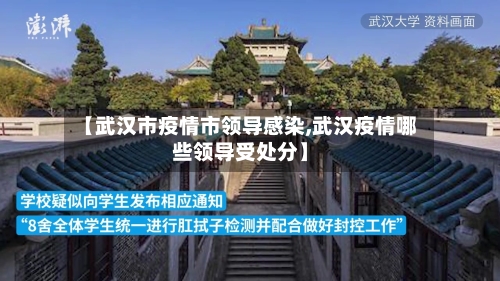 【武汉市疫情市领导感染,武汉疫情哪些领导受处分】-第1张图片