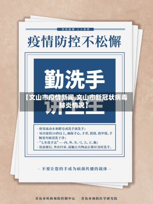 【文山市疫情新闻,文山市新冠状病毒肺炎情况】-第1张图片