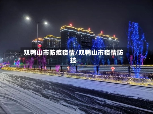 双鸭山市防疫疫情/双鸭山市疫情防控-第1张图片