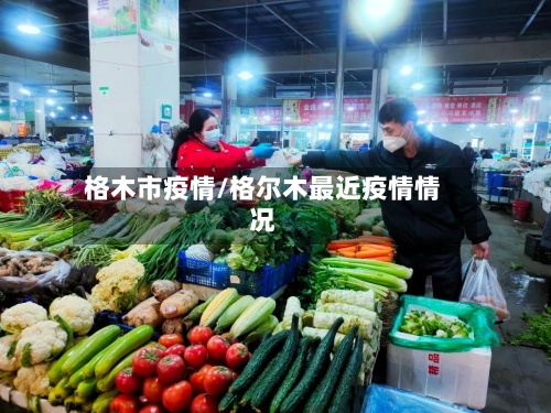 格木市疫情/格尔木最近疫情情况-第1张图片