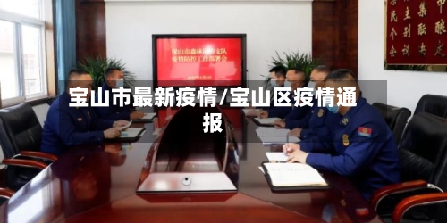 宝山市最新疫情/宝山区疫情通报-第1张图片