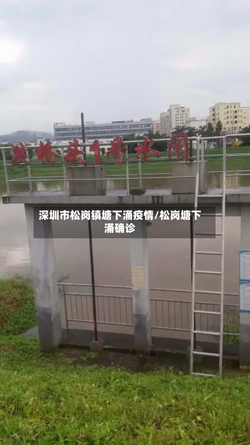 深圳市松岗镇塘下涌疫情/松岗塘下涌确诊-第2张图片