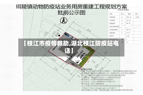 【枝江市疫情救助,湖北枝江防疫站电话】-第2张图片