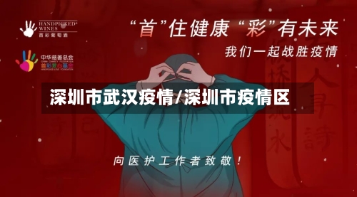 深圳市武汉疫情/深圳市疫情区-第1张图片