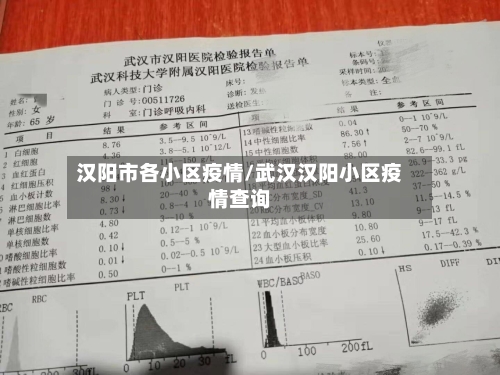 汉阳市各小区疫情/武汉汉阳小区疫情查询-第1张图片