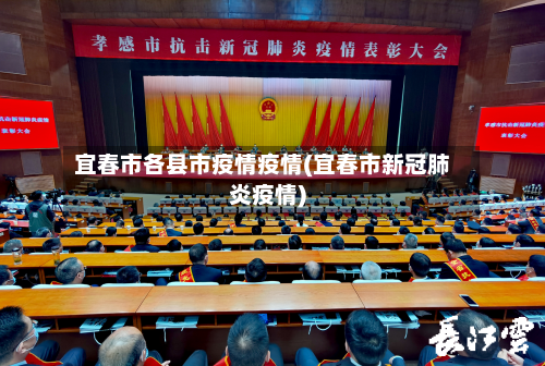 宜春市各县市疫情疫情(宜春市新冠肺炎疫情)-第1张图片