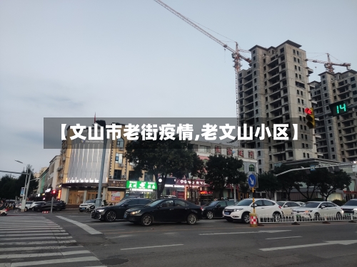 【文山市老街疫情,老文山小区】-第1张图片
