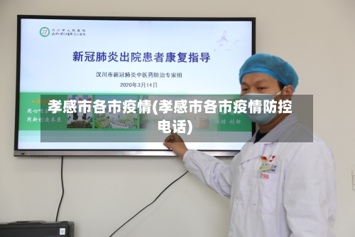 孝感市各市疫情(孝感市各市疫情防控电话)-第1张图片