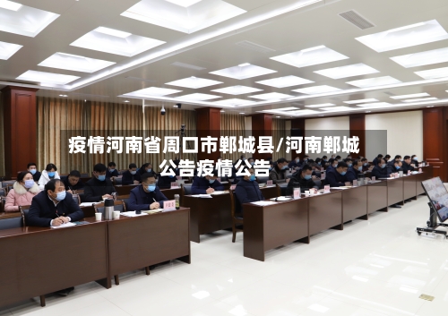 疫情河南省周口市郸城县/河南郸城公告疫情公告-第3张图片