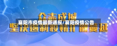 襄阳市疫情最新通报/襄阳疫情公告-第3张图片