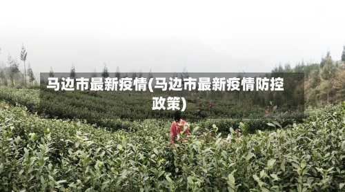 马边市最新疫情(马边市最新疫情防控政策)-第2张图片