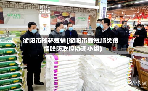 衡阳市杨林疫情(衡阳市新冠肺炎疫情联防联控协调小组)-第2张图片