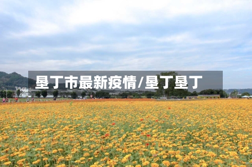 垦丁市最新疫情/垦丁垦丁-第2张图片