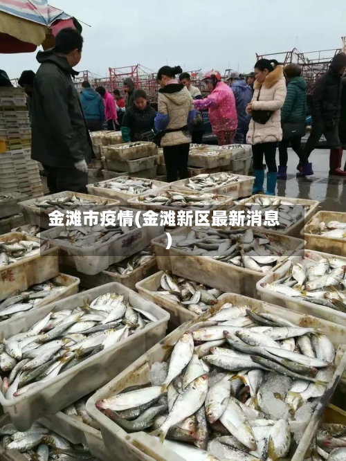 金滩市疫情(金滩新区最新消息)-第1张图片