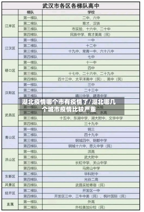 湖北疫情哪个市有疫情了/湖北哪几个城市疫情比较严重-第2张图片