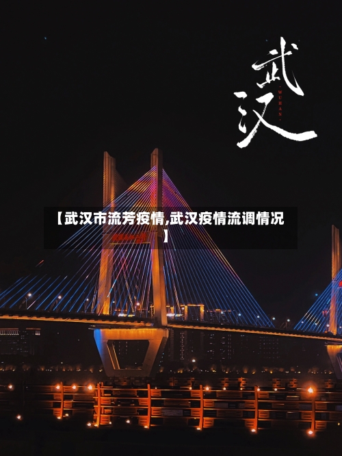 【武汉市流芳疫情,武汉疫情流调情况】-第3张图片
