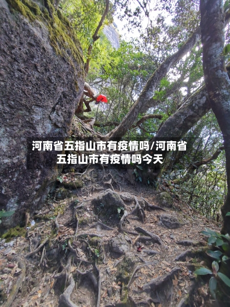 河南省五指山市有疫情吗/河南省五指山市有疫情吗今天-第2张图片