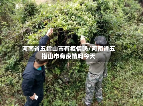 河南省五指山市有疫情吗/河南省五指山市有疫情吗今天-第1张图片