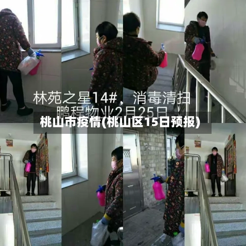 桃山市疫情(桃山区15日预报)-第2张图片