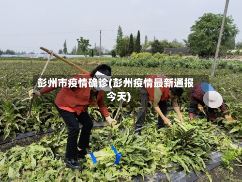 彭州市疫情确诊(彭州疫情最新通报今天)-第1张图片