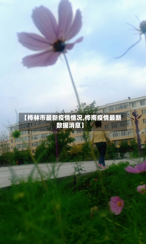【桦林市最新疫情情况,桦南疫情最新数据消息】-第2张图片