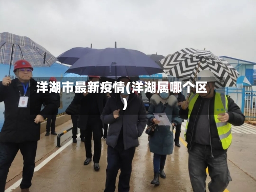 洋湖市最新疫情(洋湖属哪个区)-第1张图片