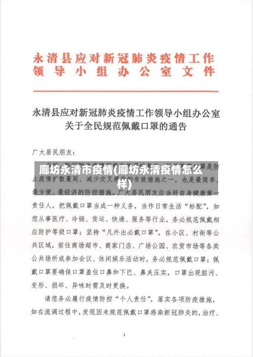 廊坊永清市疫情(廊坊永清疫情怎么样)-第2张图片