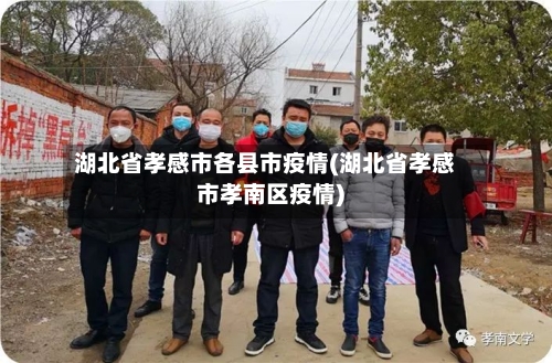 湖北省孝感市各县市疫情(湖北省孝感市孝南区疫情)-第1张图片