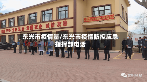 东兴市疫情量/东兴市疫情防控应急指挥部电话-第3张图片