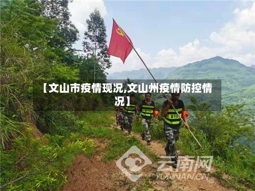 【文山市疫情现况,文山州疫情防控情况】-第1张图片