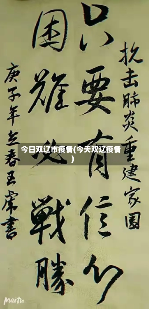 今日双辽市疫情(今天双辽疫情)-第1张图片