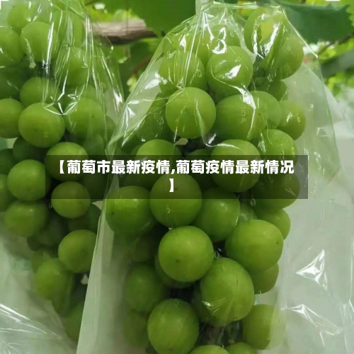 【葡萄市最新疫情,葡萄疫情最新情况】-第2张图片