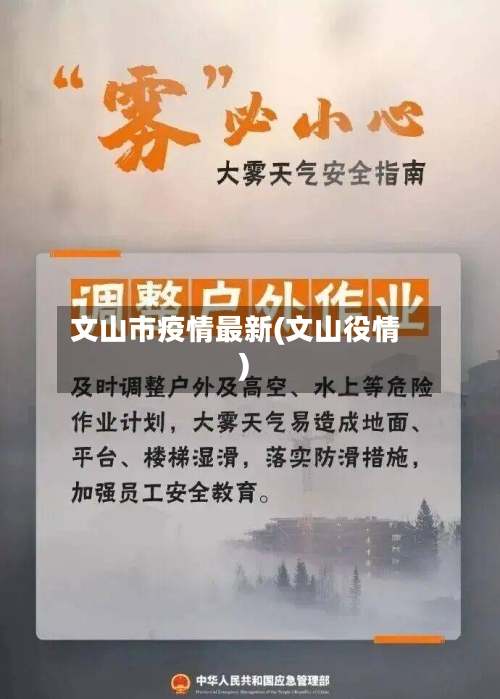 文山市疫情最新(文山役情)-第1张图片