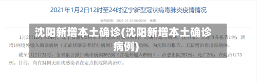 沈阳新增本土确诊(沈阳新增本土确诊病例)-第3张图片