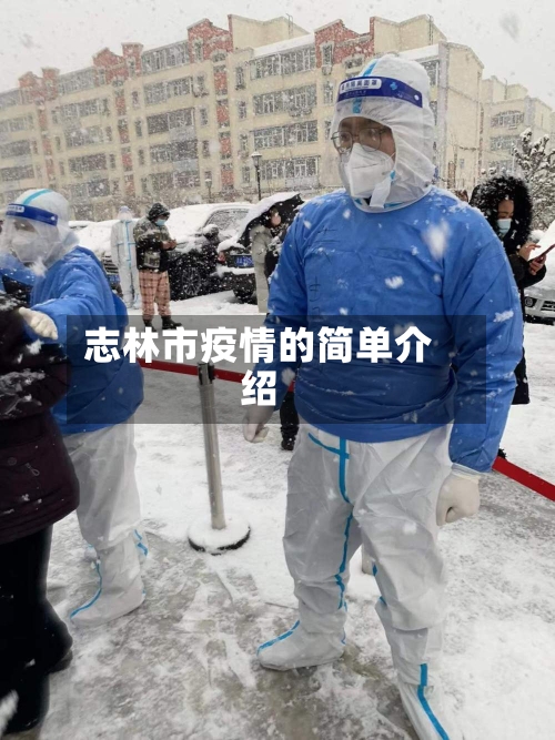 志林市疫情的简单介绍-第2张图片