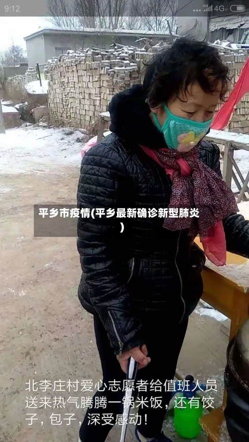 平乡市疫情(平乡最新确诊新型肺炎)-第1张图片