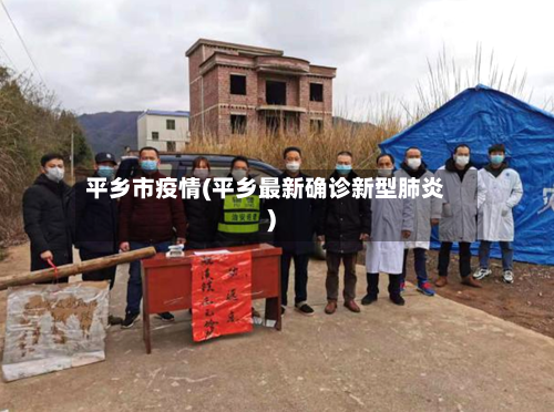 平乡市疫情(平乡最新确诊新型肺炎)-第2张图片