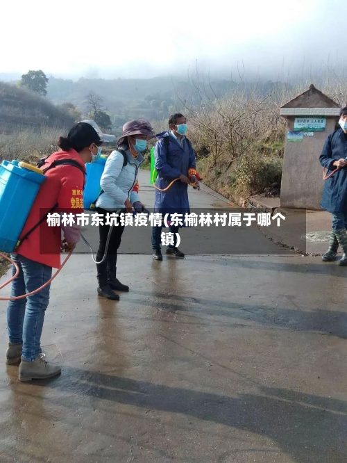 榆林市东坑镇疫情(东榆林村属于哪个镇)-第3张图片