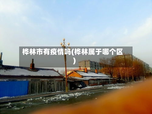 桦林市有疫情吗(桦林属于哪个区)-第1张图片