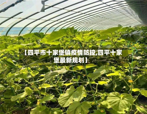 【四平市十家堡镇疫情防控,四平十家堡最新规划】-第3张图片