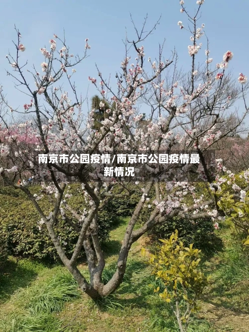 南京市公园疫情/南京市公园疫情最新情况-第2张图片