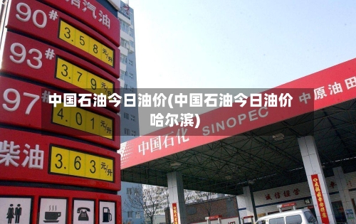 中国石油今日油价(中国石油今日油价哈尔滨)-第2张图片