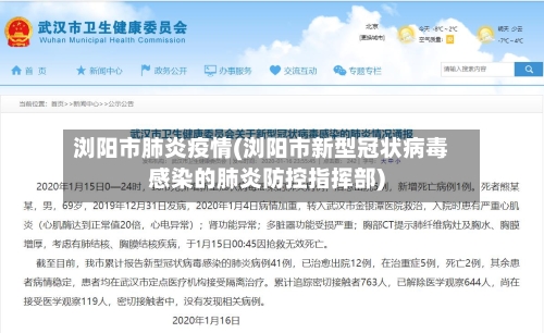 浏阳市肺炎疫情(浏阳市新型冠状病毒感染的肺炎防控指挥部)-第2张图片