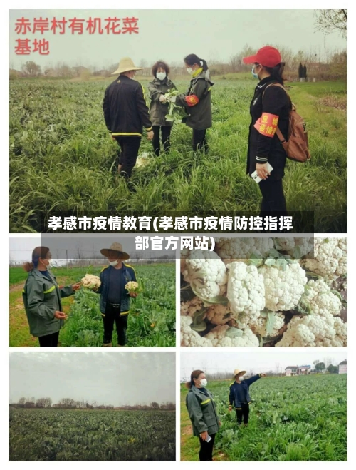 孝感市疫情教育(孝感市疫情防控指挥部官方网站)-第1张图片