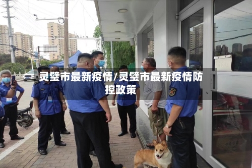 灵璧市最新疫情/灵璧市最新疫情防控政策-第2张图片