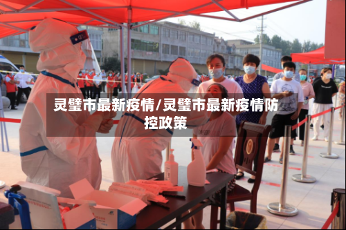 灵璧市最新疫情/灵璧市最新疫情防控政策-第3张图片