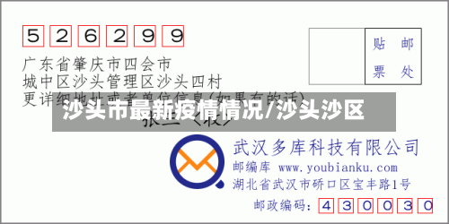沙头市最新疫情情况/沙头沙区-第3张图片