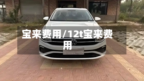 宝来费用/12t宝来费用-第2张图片