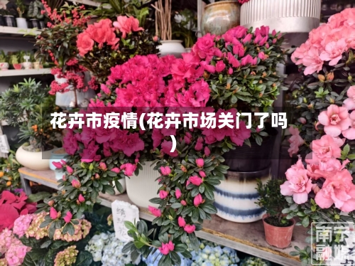 花卉市疫情(花卉市场关门了吗)-第1张图片