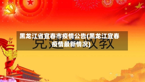 黑龙江省宜春市疫情公告(黑龙江宜春疫情最新情况)-第2张图片
